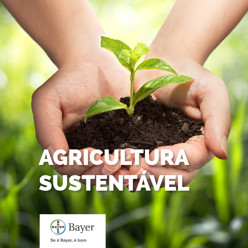 Desafio Agricultura Sustentável - Bayer