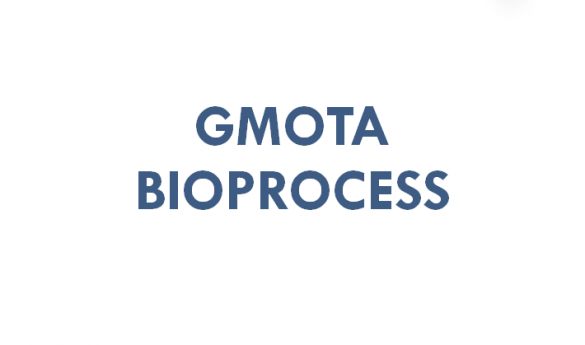 Logo GMota-0a9dd868