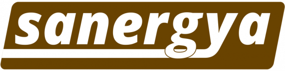 Logo SANERGYA 2022-98b7d5e1